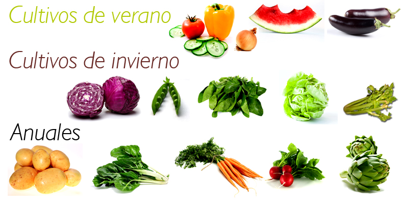 la ecocesta de cultivos ecol�gicos